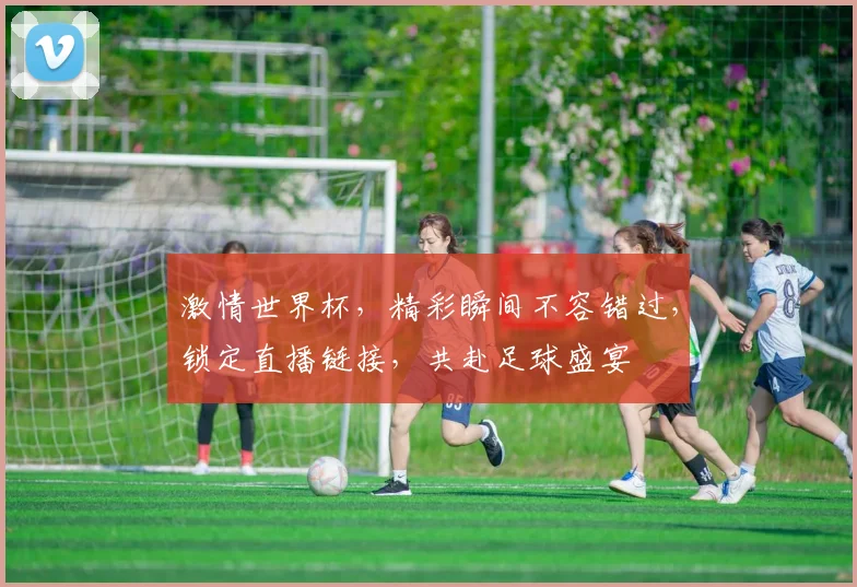 激情世界杯，精彩瞬间不容错过，锁定直播链接，共赴足球盛宴