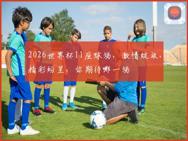 2026世界杯11座球场，激情绽放，精彩纷呈，你期待哪一场